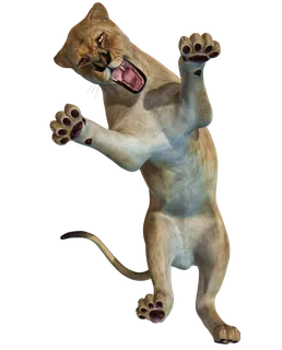 狮子动物园动物森林野生设计素材