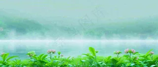 春天河面湖面花草意境古风，春分谷雨
