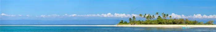 海景椰树风景画
