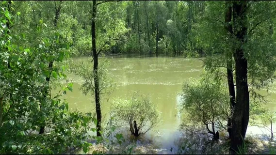 河, 流动, 夏天, 水, 海滩, 自然, 太阳, 景观