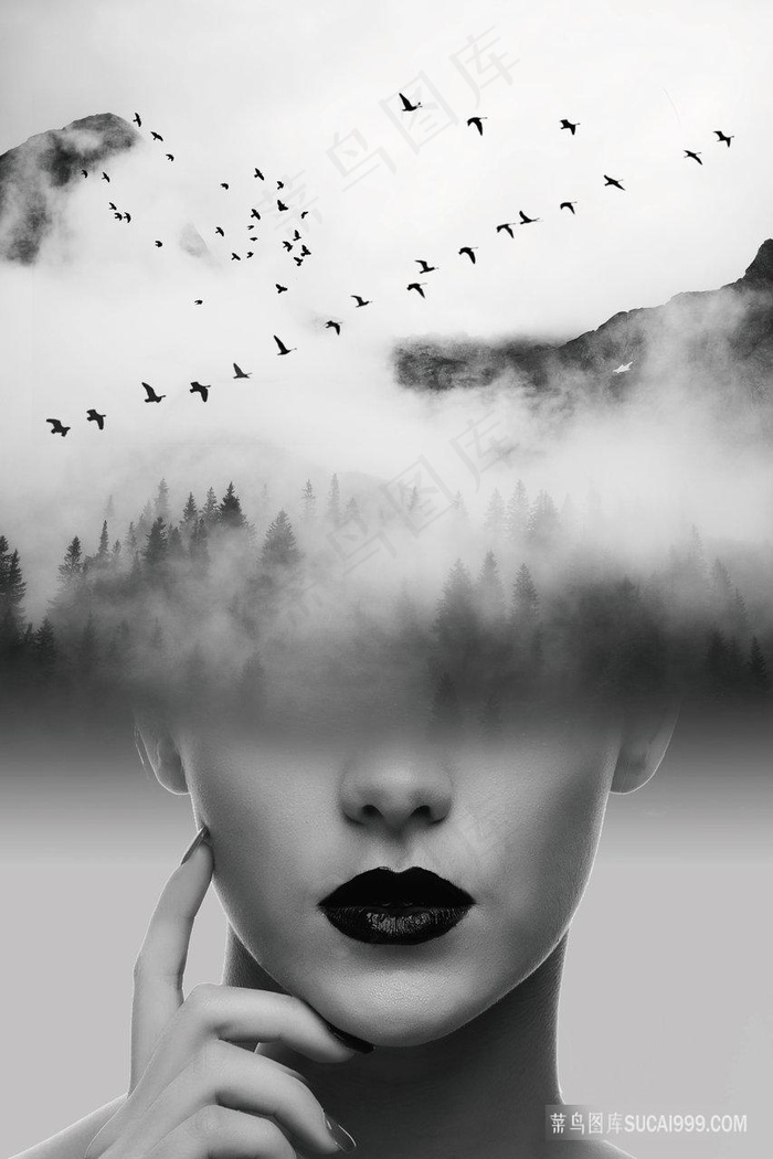 黑白山脉时尚女性艺术装饰画