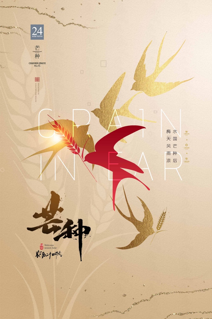 芒种 芒种海报psd模版下载