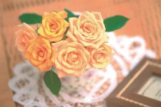 玫瑰花图片素材