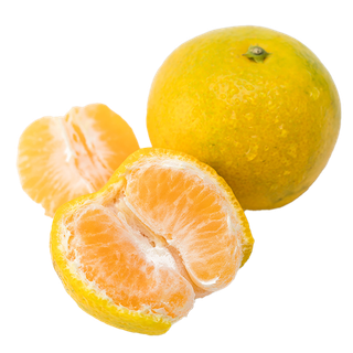 17桔子 (4)水果超市商品白底图免抠实物摄影png格式图片透明底