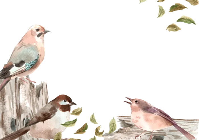 插画春鸟免抠素材