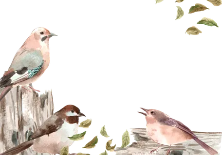 插画春鸟免抠素材