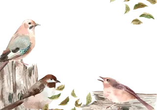 插画春鸟免抠素材