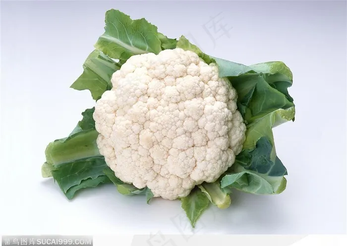 蔬菜瓜果-洁白的花菜