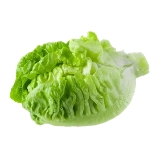 生菜 (17)超市商品白底图免抠实物摄影png格式图片透明底