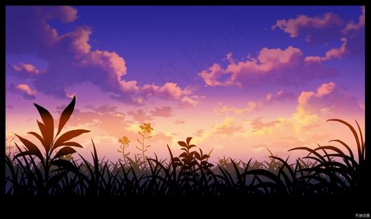 草地壁纸1031