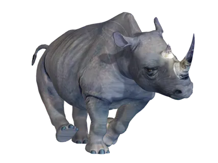 犀牛动物园动物设计素材森林野生