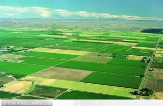 一望无际的田园