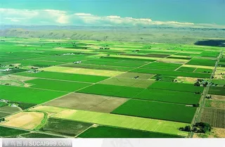 一望无际的田园