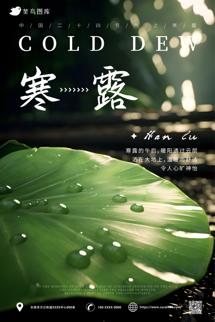 绿色 树叶 水滴 简约风 寒露节气海报