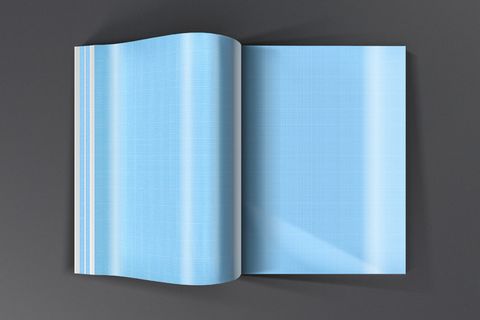 产品画册提案效果样机模板