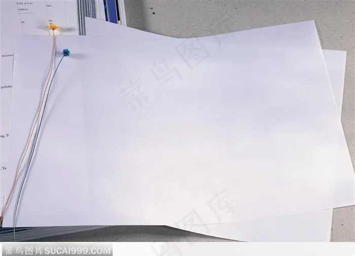 散放的打印纸