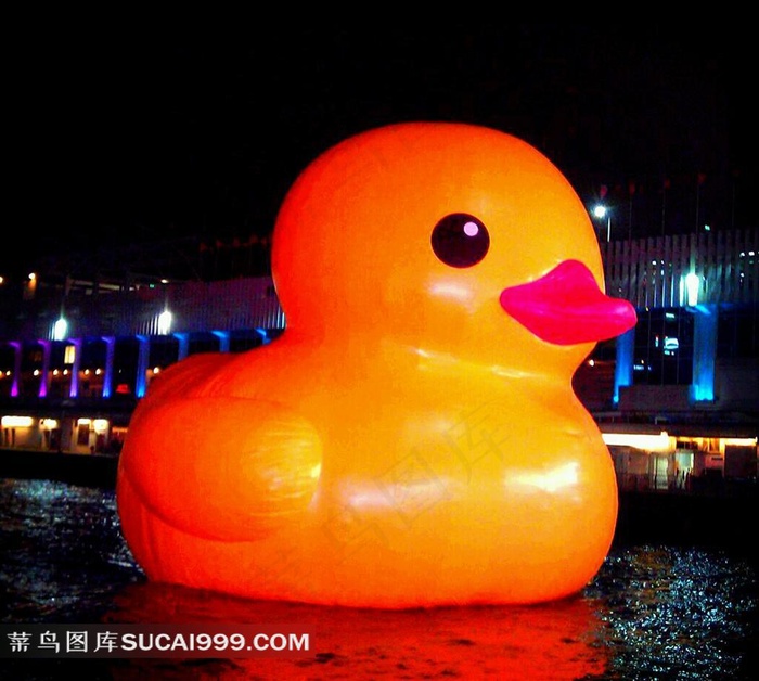 夜色下可爱的香港大黄鸭