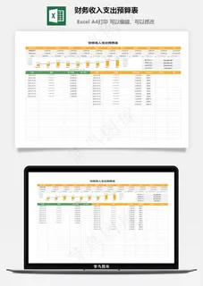 财务收入支出预算表
