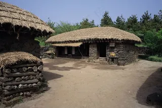 树林前院落里的茅草屋