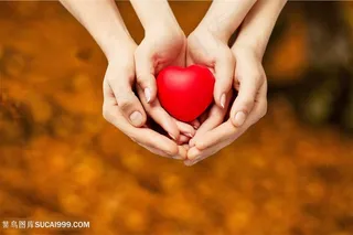 两手相拥爱心图片心型图片