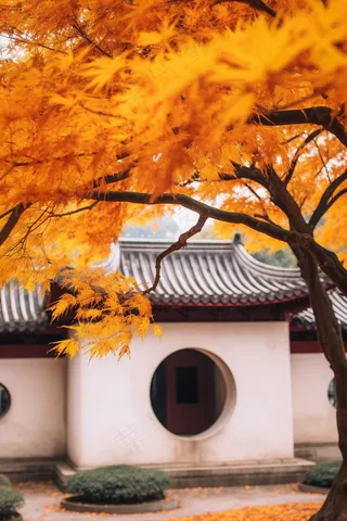 秋天苏州园林景观摄影图