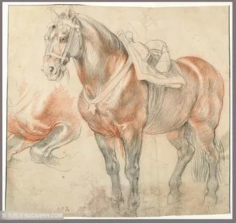 鲁本斯手绘骏马装饰画