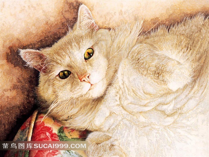 靠墙躺着的小猫插画素材