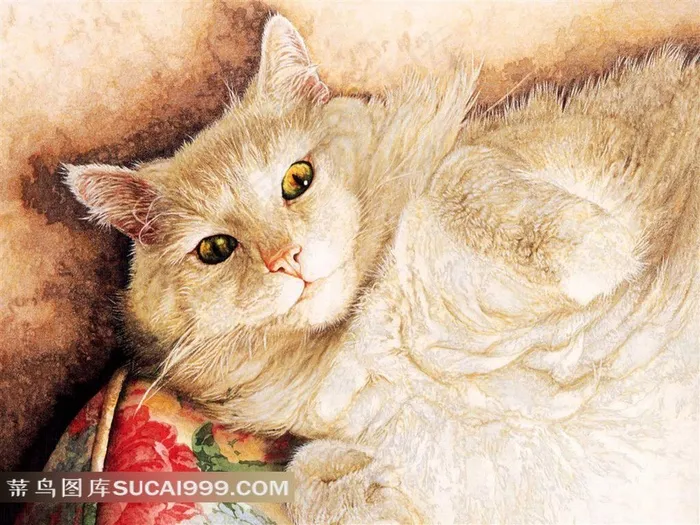 靠墙躺着的小猫插画素材
