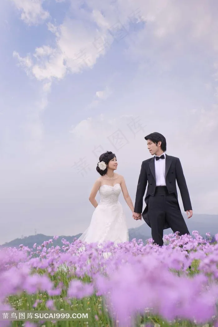 薰衣草花园中牵手的白色婚纱情侣摄影写真