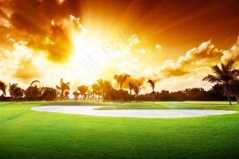 黄昏中的绿草地高清图片