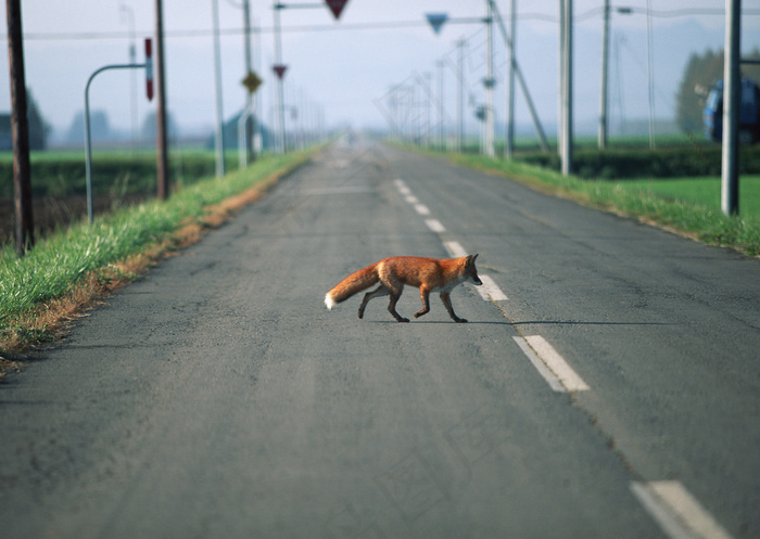 公路 46
