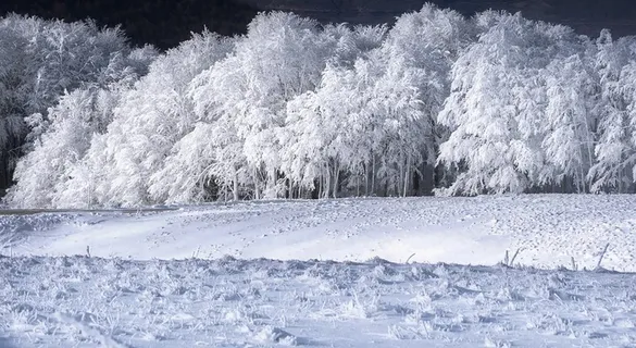 冬天自然背景风景 冬天自然背景风景