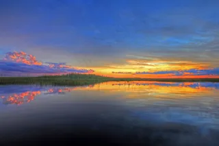 沼泽日落景观图片