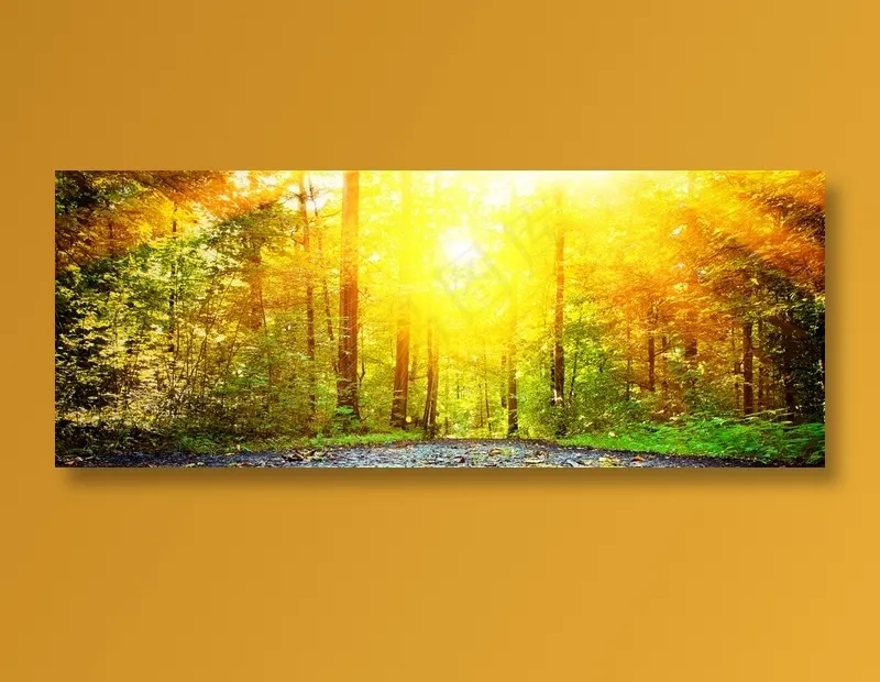 唯美的树林景色高清大图