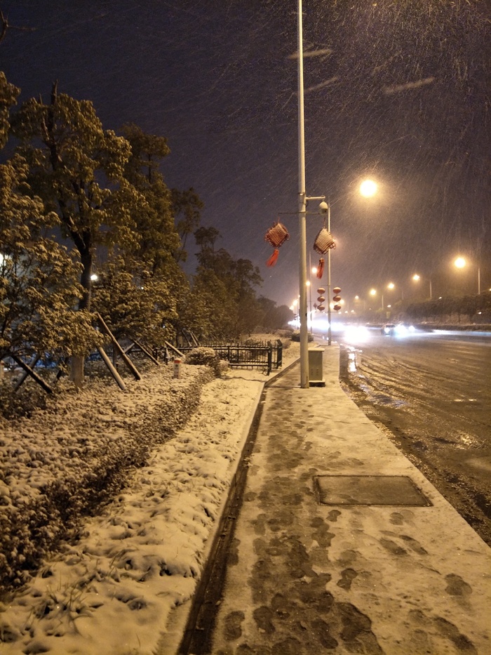 雪后的景色