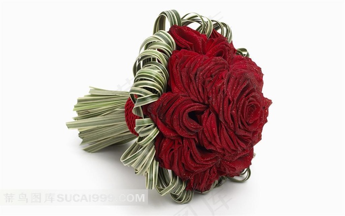 一束唯美的红玫瑰摄影