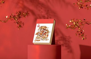 2022年虎年新年春节礼盒场景样机