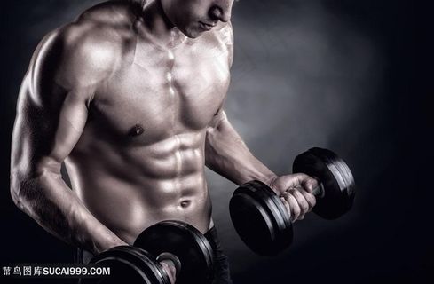 男人肌肉男健美举哑铃高清图片