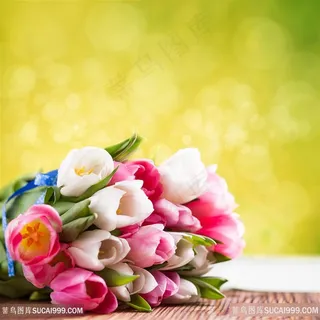 唯美五颜六色郁金香花束鲜花图片