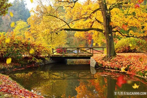 秋日园林风景图片 秋日园林风景图片