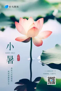 小暑清新荷花池简约大气海报