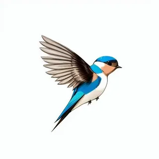 燕子png免抠