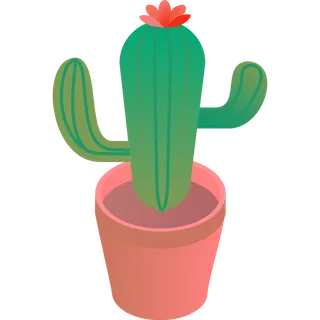 立体风格仙人掌盆栽