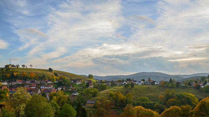 天空 风景 高清图 绿色 树 草 