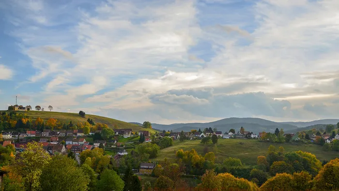 天空 风景 高清图 绿色 树 草 