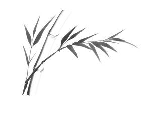 竹子水墨画中国风国画墨水书法竹子画