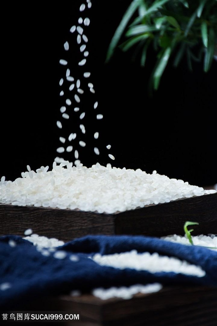 食物大米素材图片