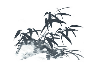 竹子水墨画中国风国画墨水书法竹子画