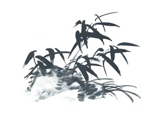 竹子水墨画中国风国画墨水书法竹子画