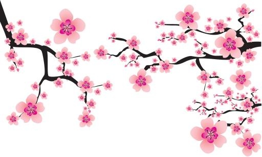 樱花 PNG免抠(7165x4313)
